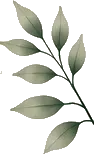 Cart recommendation botanical