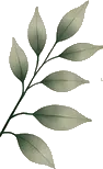 Cart recommendation botanical