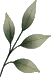 Pale sage botanical sprig