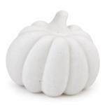 Classic Ribbed Pumpkin